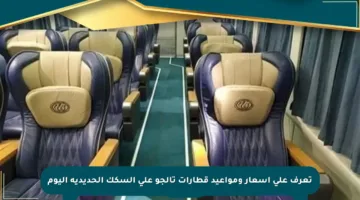 تعرف على أسعار ومواعيد قطارات تالجو على السكك الحديدية اليوم